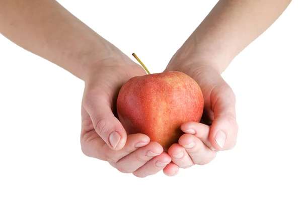 Big apple in hands — Stock Photo, Image