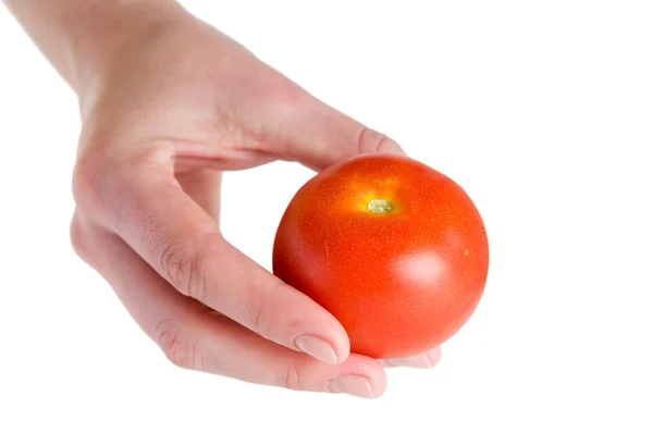 stock image Tomato in hand