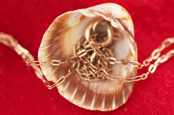 Golden chain in a sea shell — Stock Photo, Image