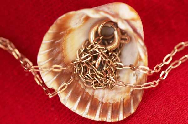 Золотая цепь в морской раковине — стоковое фото