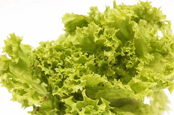 Salad leaves on a white background — Stock Photo, Image