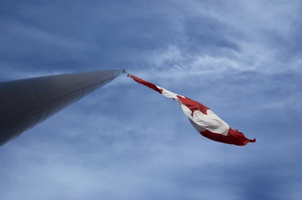A bandeira canadense, batendo ao vento — Fotografia de Stock