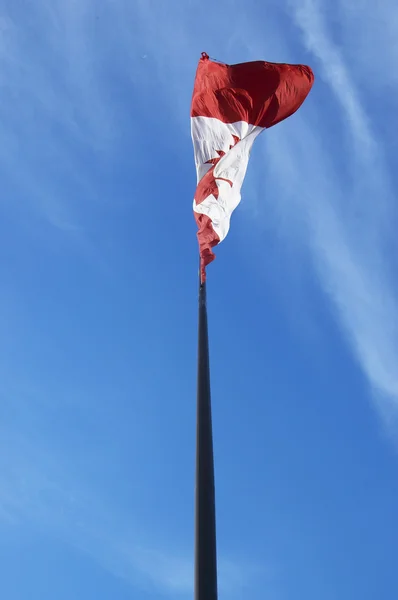 De Canadese vlag, fladderende in de wind — Stockfoto