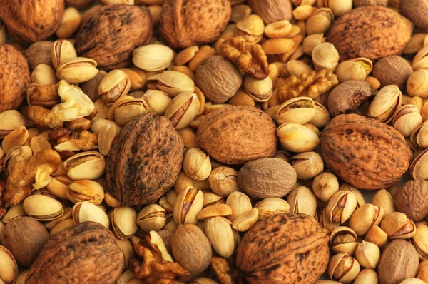 Nuts theme — Stock Photo, Image
