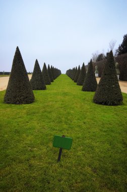 Versailles bahçeleri