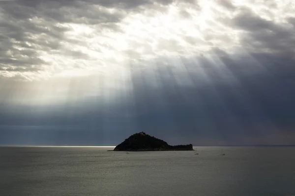 stock image Grace comes to a lonely island