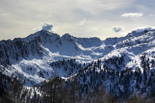 İtalyanca alps Kayak