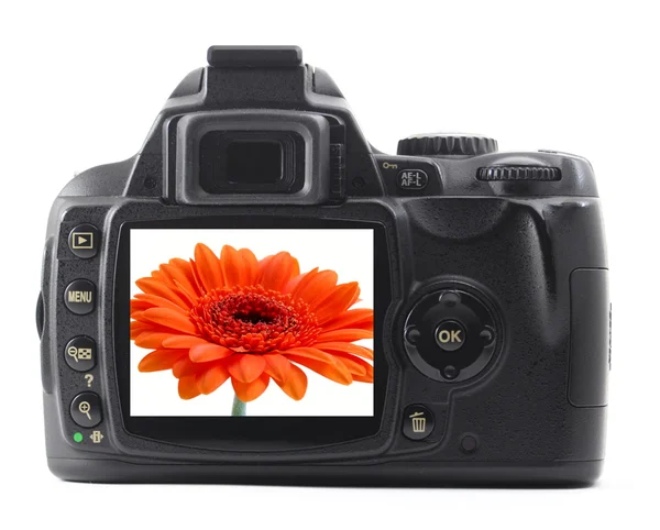 Dslr with summer flower — Stock Photo, Image
