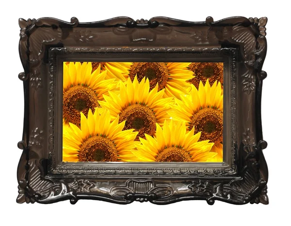 Çiçekler ve duvardaki resim çerçevesi — Stok fotoğraf