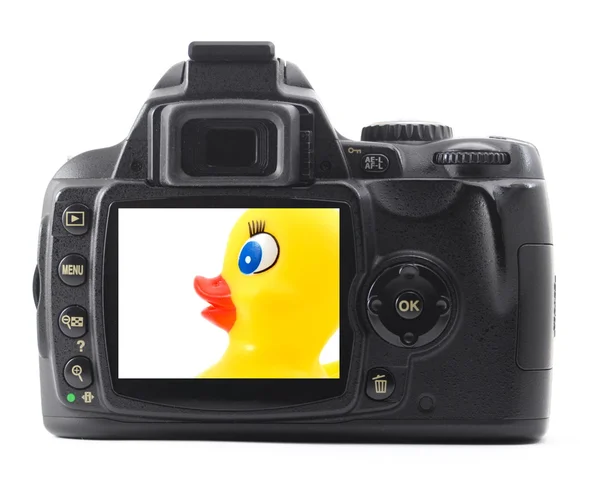 Giocattolo anatra sulla macchina fotografica — Foto Stock
