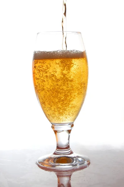 Glas vers bier — Stockfoto