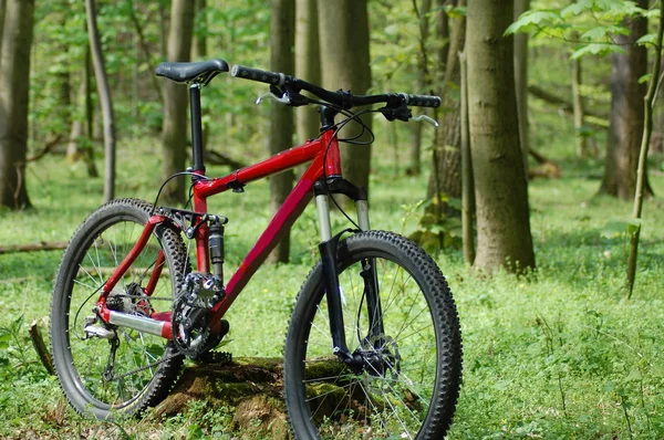 Bicicleta de montaña — Foto de Stock