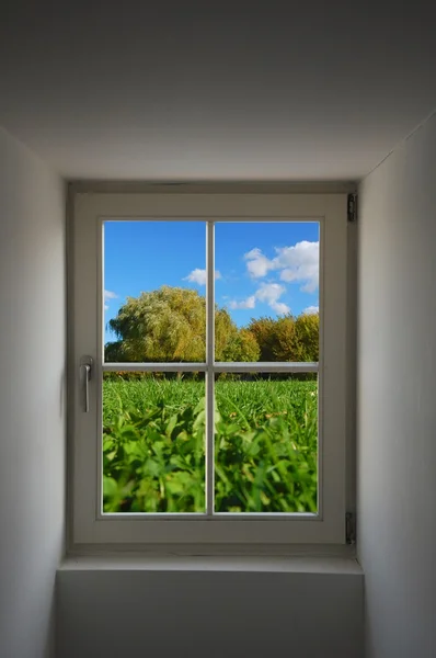 Okna i natura — Zdjęcie stockowe