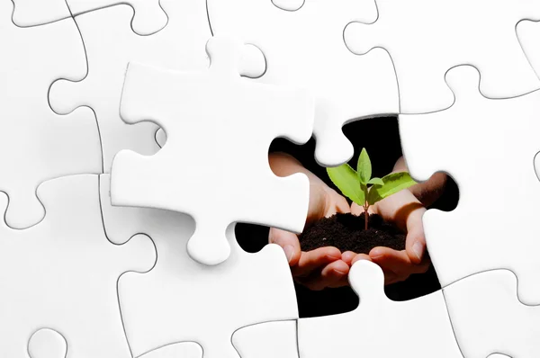 Puzzle and plant — Stock Photo, Image