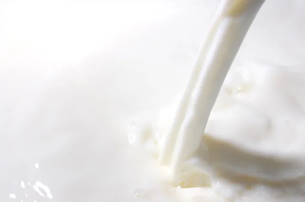Брызги молока — стоковое фото