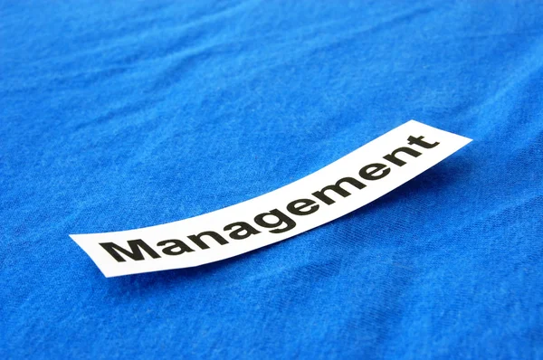 Business management — Stock Photo, Image