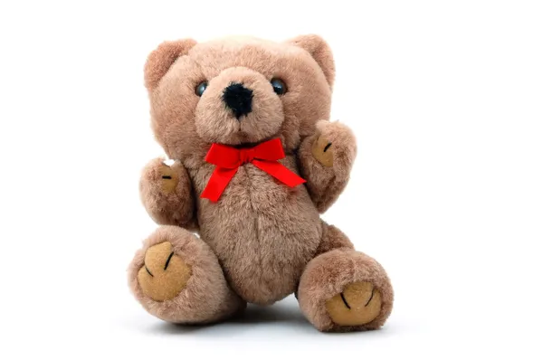 Teddy bear isolated on white background — Stock Photo, Image
