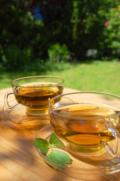 Tazza di tè in giardino — Foto Stock