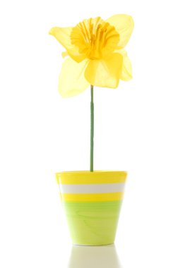 Flower in pot clipart