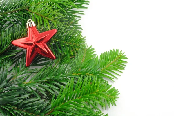 Zielona jodła na Boże Narodzenie — Zdjęcie stockowe