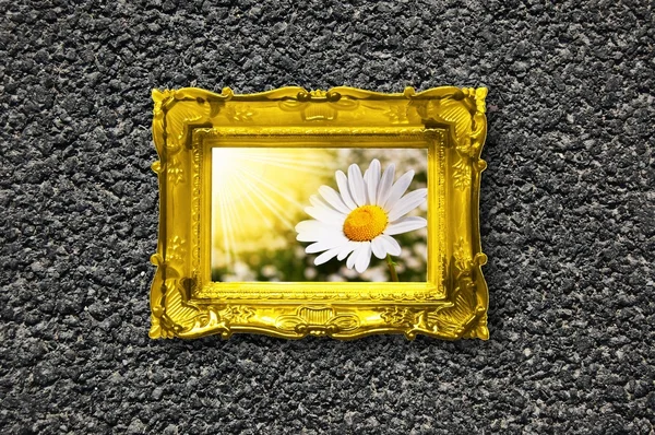 Çiçekler ve duvardaki resim çerçevesi — Stok fotoğraf