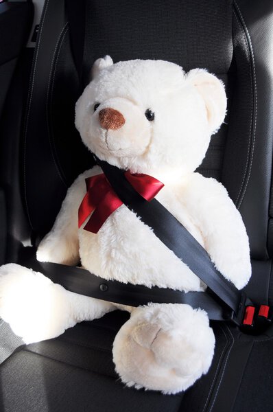 Fasten your seat belt