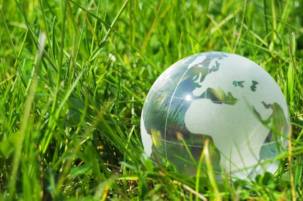 Стеклянный шар или земля в траве — стоковое фото