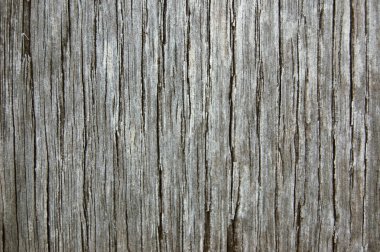 Wood texture clipart