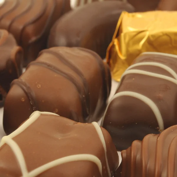 Шоколадні трюфелі в коробці — стокове фото