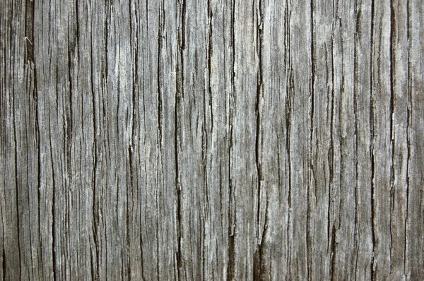 stock image Wood texture