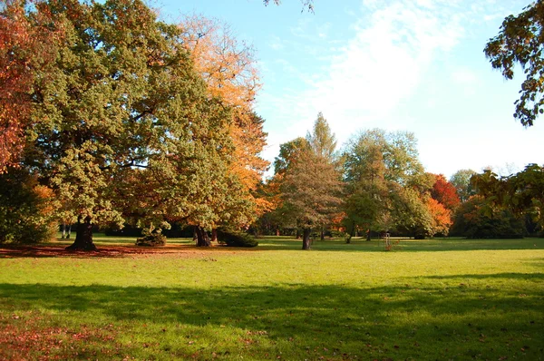 Fall in the park with green trees under blue sky — Stock Photo, Image