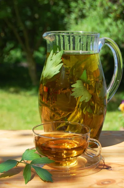 Filiżanka herbaty w ogrodzie — Zdjęcie stockowe