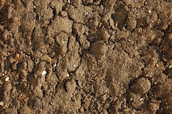 Texture of soil — Stock Photo, Image