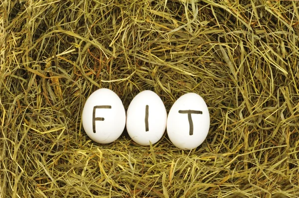 Fit — Stock Photo, Image