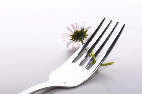 Flor y tenedor —  Fotos de Stock