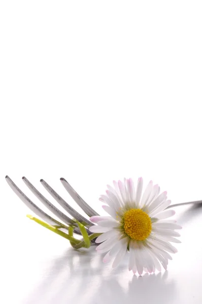 Çiçek ve çatal — Stok fotoğraf