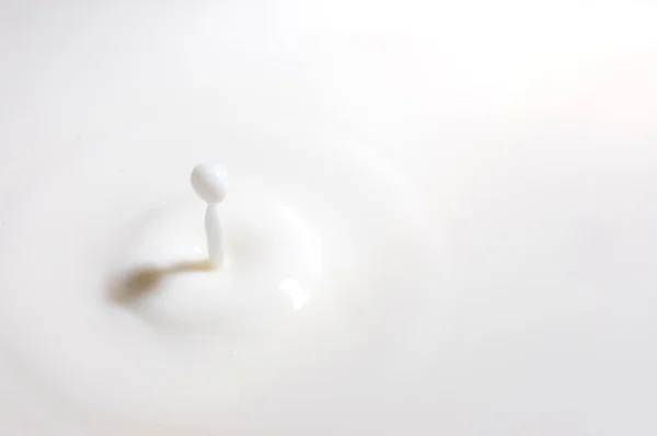 ミルク ドロップ — ストック写真