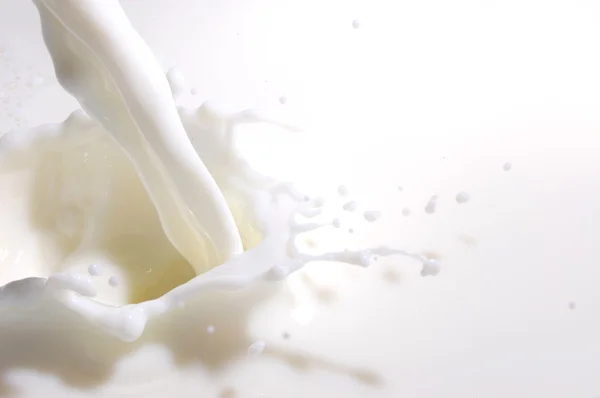 Splash de leite Imagem De Stock