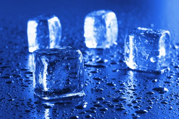 Gelo — Fotografia de Stock