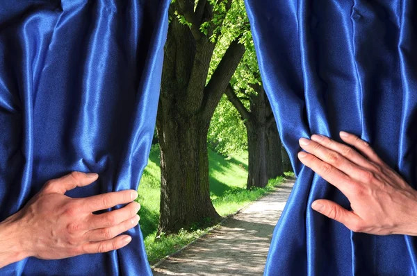 公園と青のカーテン — ストック写真