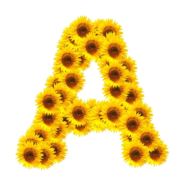 Alfabet van bloemen — Stockfoto