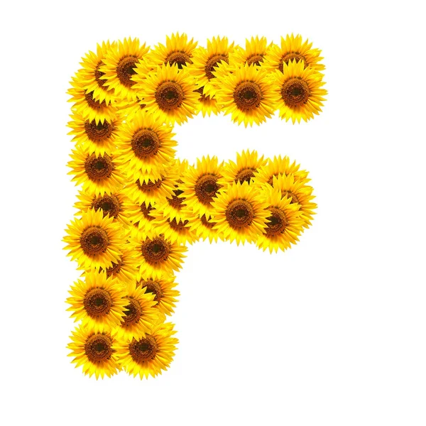 Alfabeto de flores —  Fotos de Stock