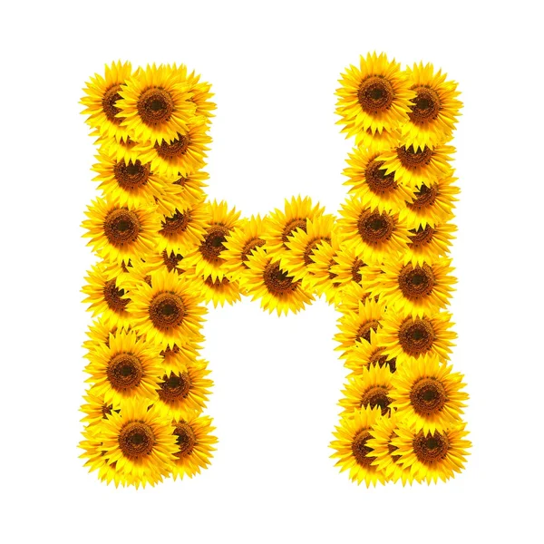Alphabet of flowers — Stock Photo, Image