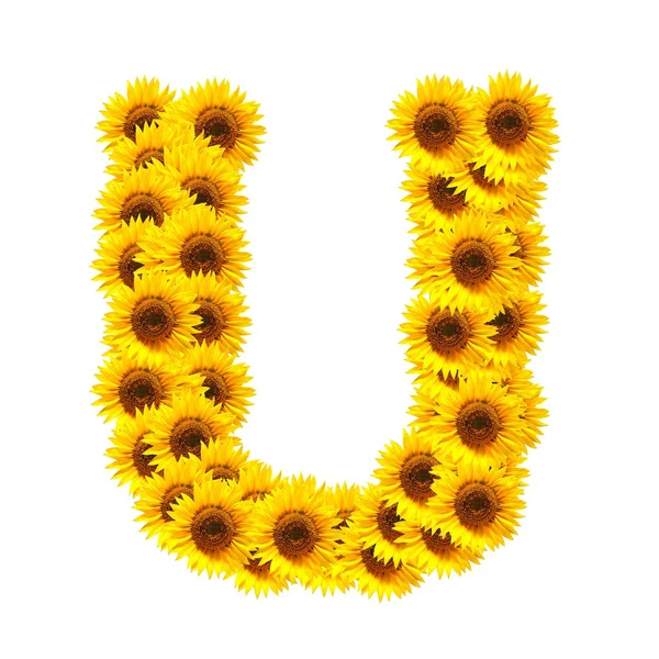 Alfabeto de flores — Fotografia de Stock