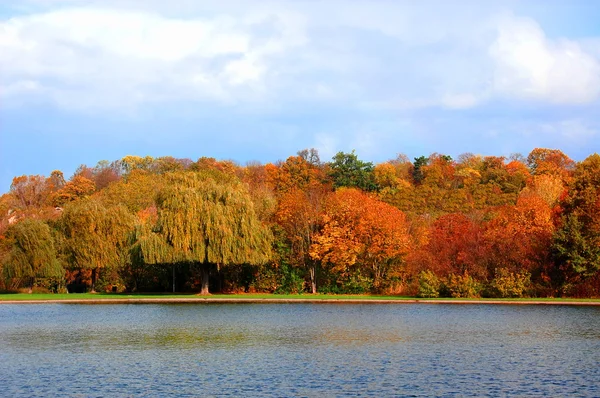 Autumnal forest un der blue sky — Stock Photo, Image