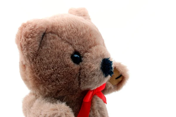 Teddy beer geïsoleerd op witte achtergrond — Stockfoto