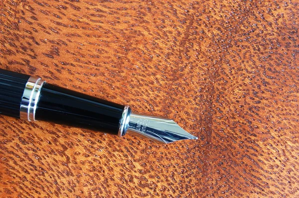 Fountain pen — Stock Photo, Image