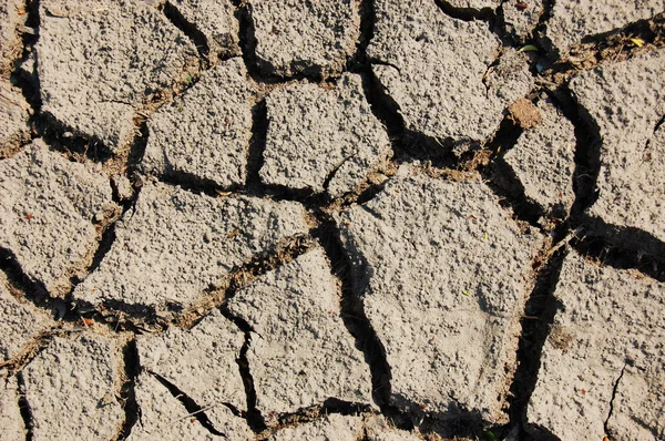 乾燥した土壌 — ストック写真