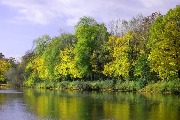 Autumnal forest un der blue sky — Stock Photo, Image