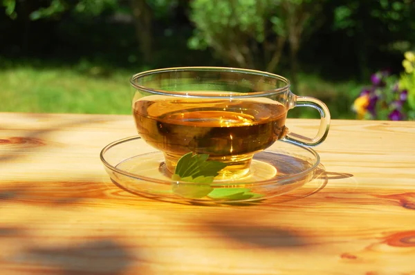 Taza de té en el jardín — Foto de Stock